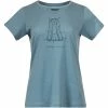 Budsjett 🎉 Dame Bergans Graphic Wool W Tee (Smoke Blue/Orion Blue) 💯