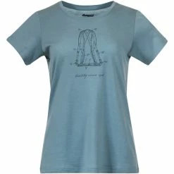 Budsjett 🎉 Dame Bergans Graphic Wool W Tee (Smoke Blue/Orion Blue) 💯